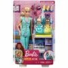 Barbie Careers Playset Assorted