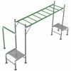 Lifespan Kids Junior Jungle Monkey Bar Module